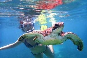 Snorkeling alle isole Daymaniyat