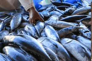 Odkryj Muscat: Ekspresowa wycieczka po mieście z najważniejszymi atrakcjami