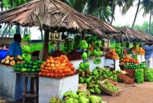 Discover Salalah City, History, Nature, Culture