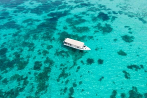 Isole Dimaniyat Scopri le immersioni subacquee