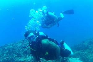 Découverte de la plongée sous-marine dans les îles Dimaniyat