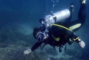 Dimaniyat Islands Discover Scuba Diving