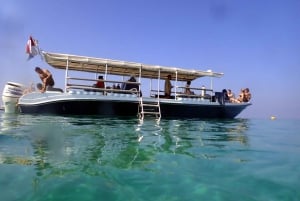 Isole Dimaniyat Scopri le immersioni subacquee
