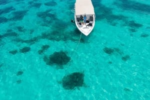 Descubre el buceo en las islas Dimaniyat