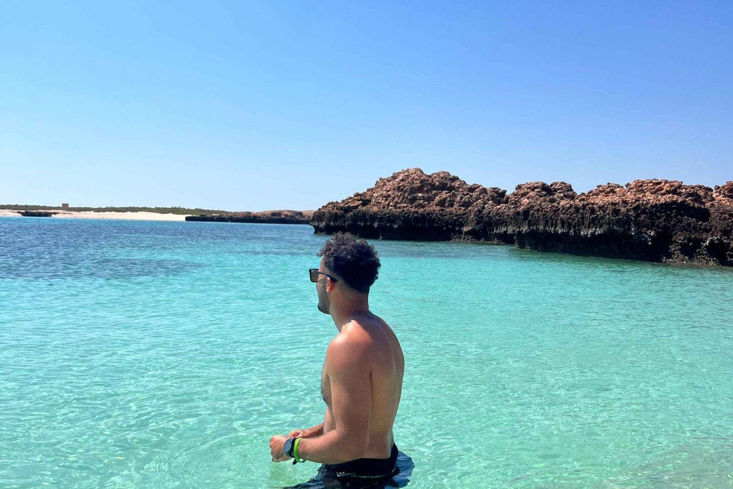 diymaniyat Plongée en apnée (nage avec des requins baleines ou des tortues)