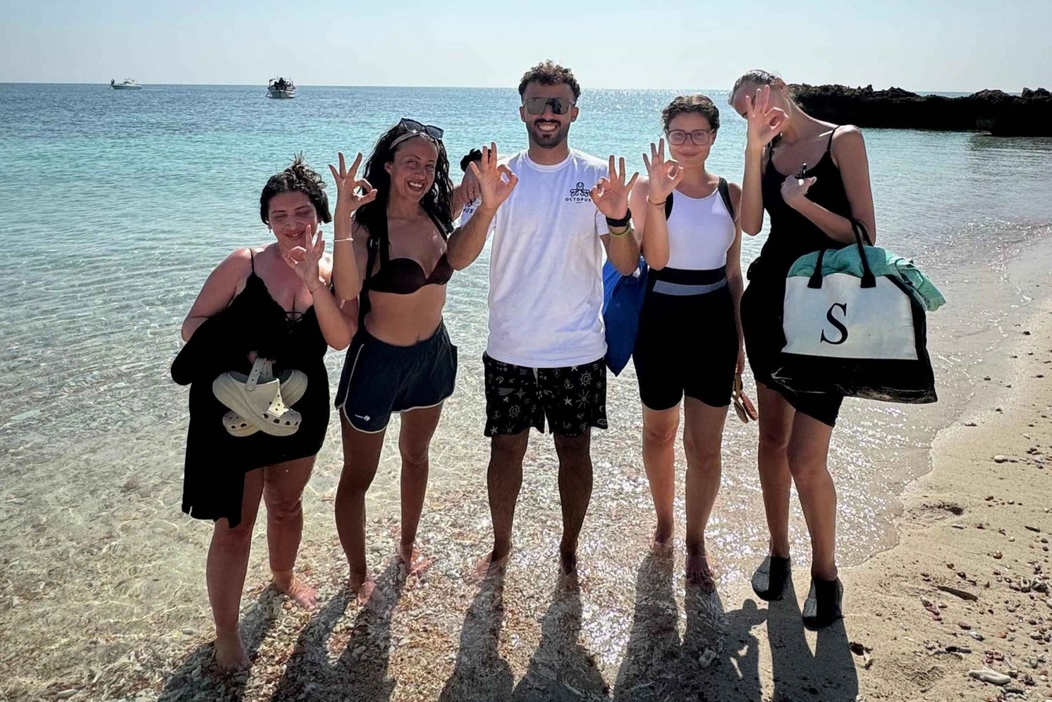 diymaniyat Plongée en apnée (nage avec des requins baleines ou des tortues)