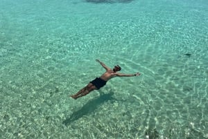 diymaniyat Plongée en apnée (nage avec des requins baleines ou des tortues)