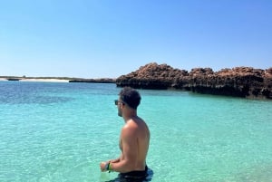 diymaniyat Plongée en apnée (nage avec des requins baleines ou des tortues)