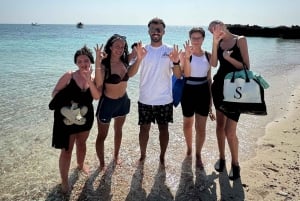 diymaniyat Plongée en apnée (nage avec des requins baleines ou des tortues)