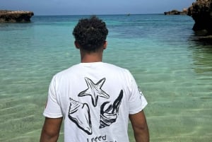 diymaniyat Plongée en apnée (nage avec des requins baleines ou des tortues)