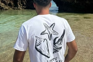 diymaniyat Plongée en apnée (nage avec des requins baleines ou des tortues)