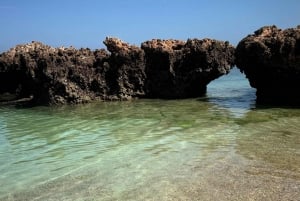 diymaniyat Plongée en apnée (nage avec des requins baleines ou des tortues)