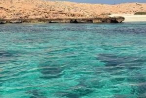 дийманият Снорклинг (плавание китовых акул или черепах)