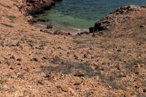 дийманият Снорклинг (плавание китовых акул или черепах)