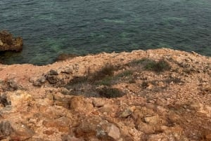 дийманият Снорклинг (плавание китовых акул или черепах)