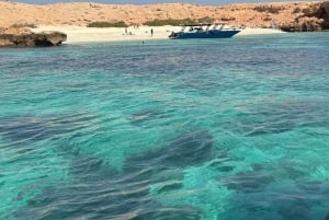 дийманият Снорклинг (плавание китовых акул или черепах)