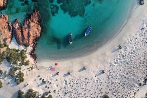 diymaniyat Snorklaus (ui valashai tai kilpikonna)