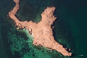 diymaniyat Snorklaus (ui valashai tai kilpikonna)