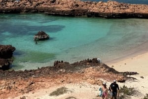 diymaniyat Snorklaus (ui valashai tai kilpikonna)