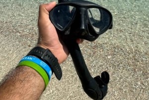 diymaniyat Snorklaus (ui valashai tai kilpikonna)