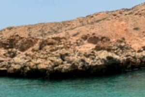 diymaniyat Snorklaus (ui valashai tai kilpikonna)