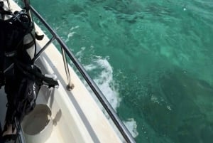 diymaniyat Snorklaus (ui valashai tai kilpikonna)