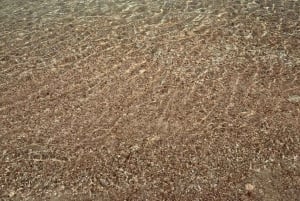 diymaniyat Snorklaus (ui valashai tai kilpikonna)