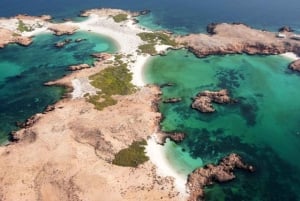 diymaniyat Snorklaus (ui valashai tai kilpikonna)