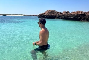 diymaniyat Snorklaus (ui valashai tai kilpikonna)