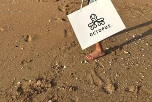 diymaniyat Snorklaus (ui valashai tai kilpikonna)