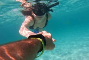 diymaniyat Snorklaus (ui valashai tai kilpikonna)