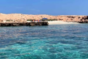 diymaniyat Snorklaus (ui valashai tai kilpikonna)