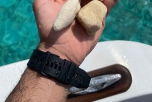 diymaniyat Snorklaus (ui valashai tai kilpikonna)