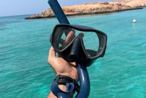 diymaniyat Snorklaus (ui valashai tai kilpikonna)