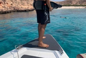 diymaniyat Snorklaus (ui valashai tai kilpikonna)