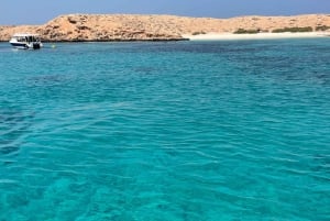 diymaniyat Snorklaus (ui valashai tai kilpikonna)