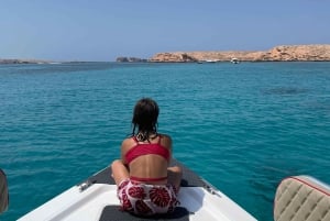 diymaniyat Snorklaus (ui valashai tai kilpikonna)