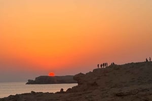 diymaniyat Snorklaus (ui valashai tai kilpikonna)