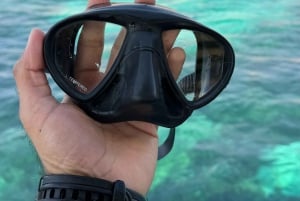 diymaniyat Snorklaus (ui valashai tai kilpikonna)