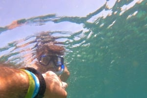 diymaniyat Snorklaus (ui valashai tai kilpikonna)