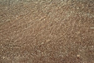 diymaniyat Snorklaus (ui valashai tai kilpikonna)