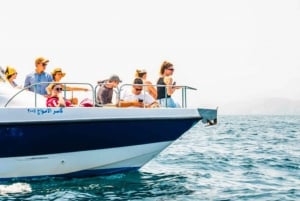 Dolphin Watching and Snorkeling Trip in Muscat
