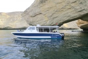 Dolphin Watching & Snorkeling Trip Muscat (3 hours)