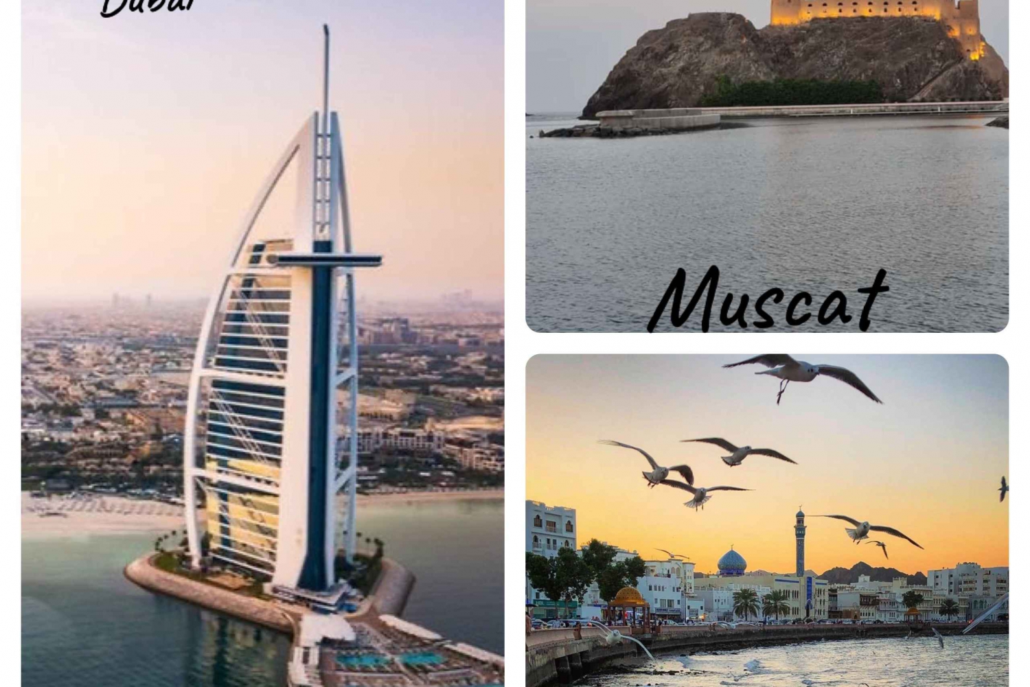 Dubai-Muscat: trasferimento privato da/per Dubai (città degli Emirati Arabi Uniti)
