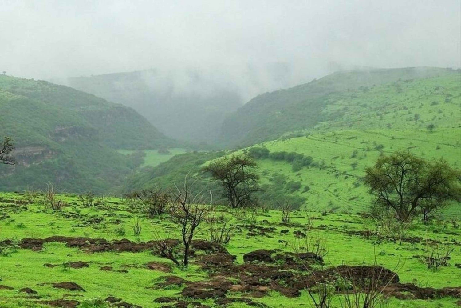 شرق صلالة، جبل، جبل، جمل، شلال، شاطئ أبيض