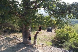 Abenteuer Ost-Salalah: Natur, Geschichte und landschaftliche Reize