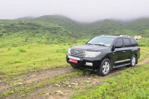 Øst-Salalah dag og nat: kameler, vandfald og souk-tur