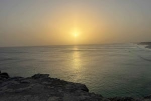 Øst-Salalah dag og nat: kameler, vandfald og souk-tur