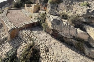 Östra Salalah dag och natt: kameler, vattenfall och souk-tur