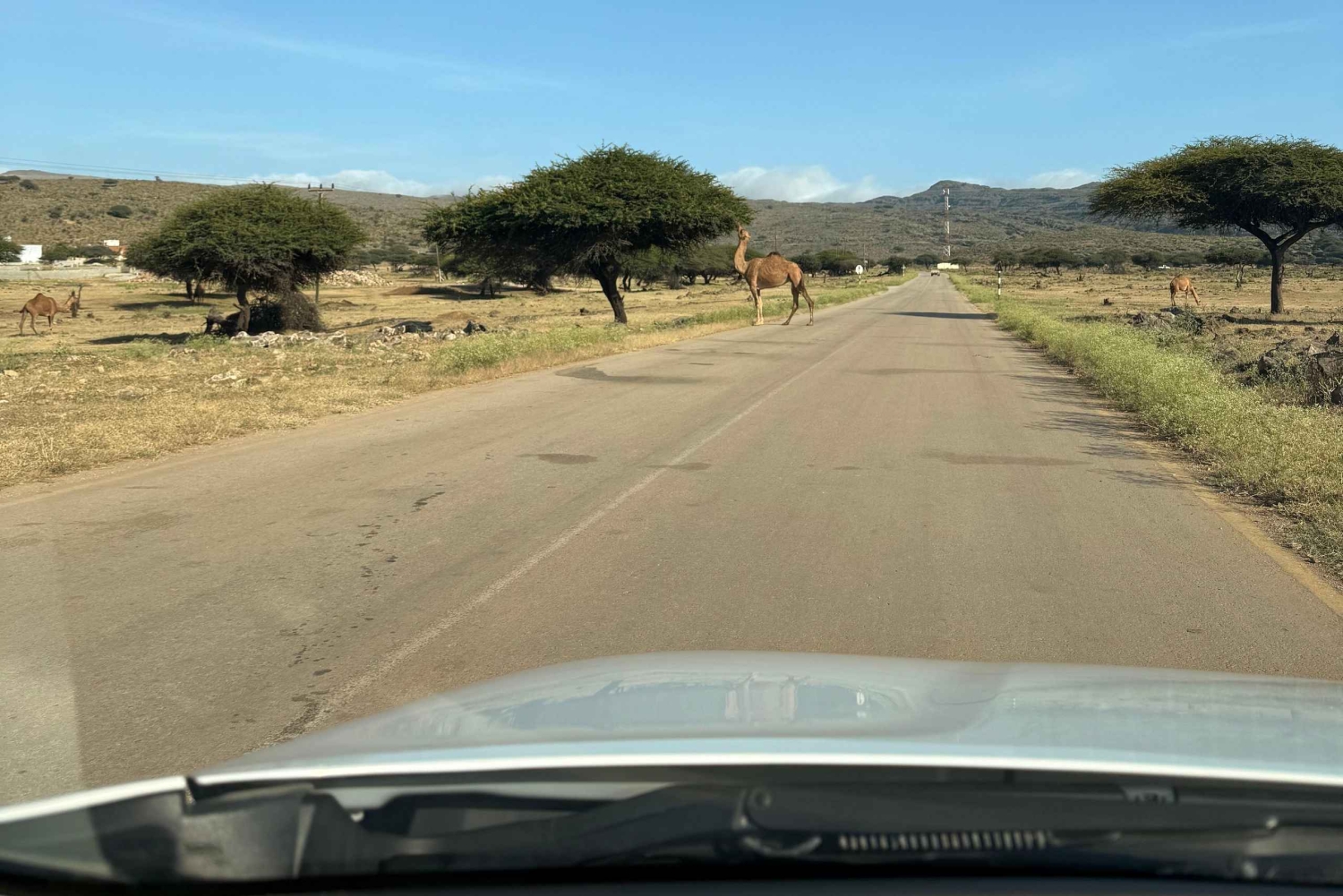 Salalah Oriental: safari privado en 4x4 y atardecer